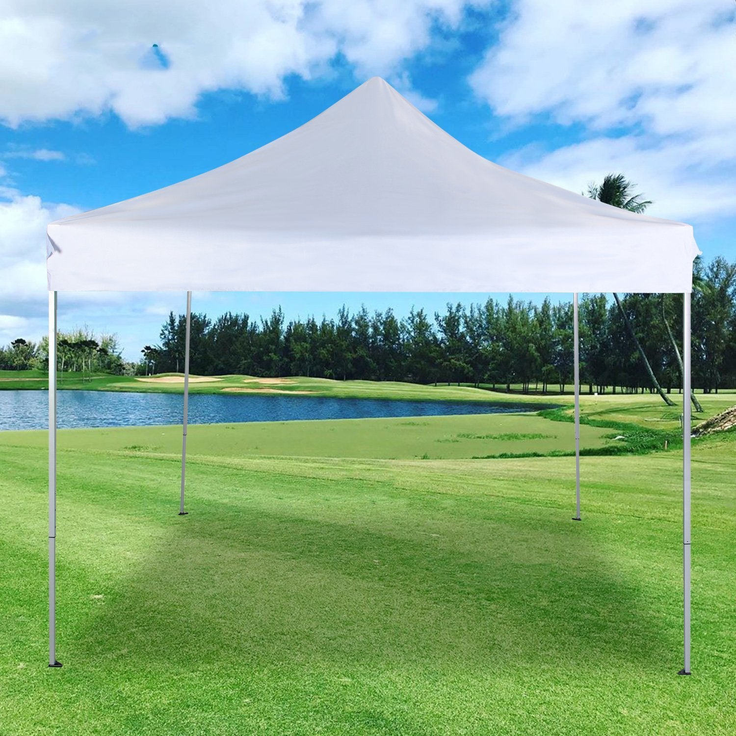 10x10 2024 commercial canopy